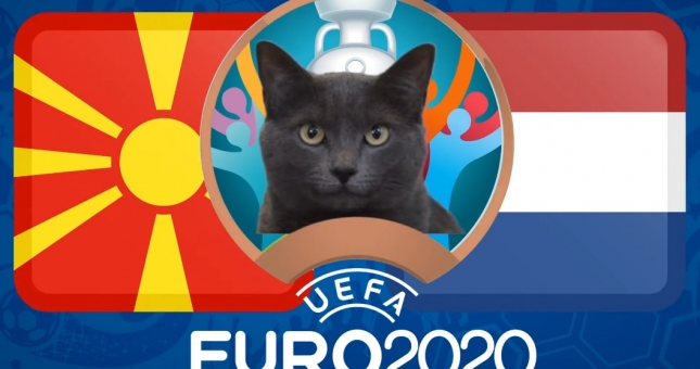 Mèo tiên tri dự đoán Bắc Macedonia vs Hà Lan: Khai phá thiên cơ