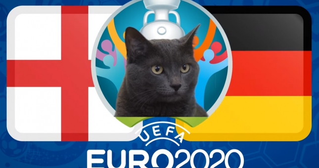Mèo tiên tri dự đoán Anh vs Đức: Gợi ý đáng lưu tâm