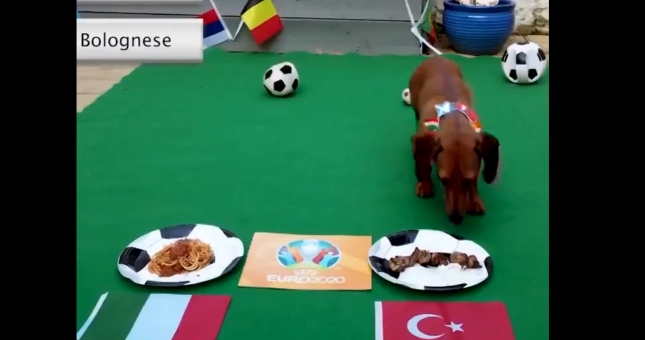 Thần khuyển dự đoán Italia vs Thổ Nhĩ Kỳ: Khai phá thiên cơ