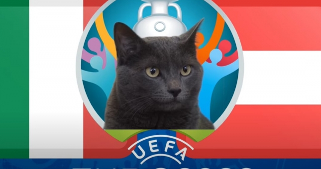 Mèo tiên tri dự đoán Italia vs Áo: Kết quả uy tín!