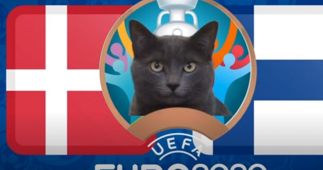 Mèo tiên tri dự đoán Đan Mạch vs Phần Lan: Bất phân thắng bại