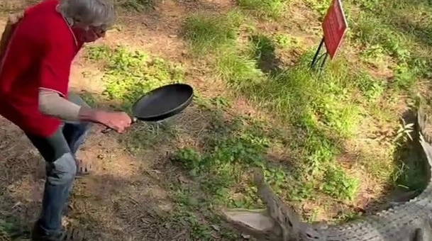 Ông lão dùng chảo để 'combat' với cá sấu, game thủ PUBG nhìn mà nể