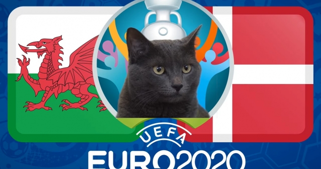 Mèo tiên tri dự đoán Xứ Wales vs Đan Mạch: Thắng lợi kịch tính