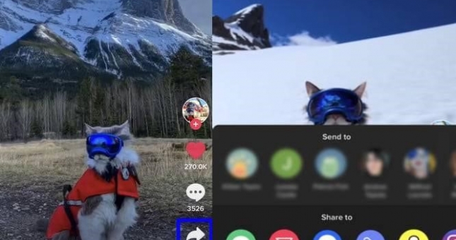 Hướng dẫn download TikTok video chi tiết