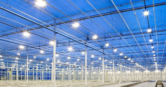 5 ưu điểm nổi bật của đèn led nhà xưởng Hodiled mà bạn không nên bỏ qua