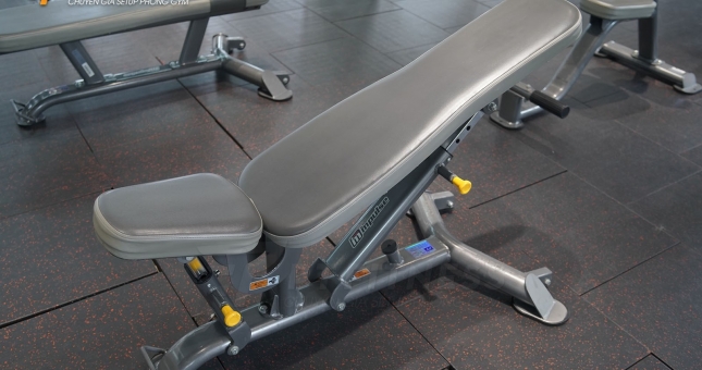 5+ mẫu ghế tập tạ đa năng giúp tập luyện tại nhà hiệu quả