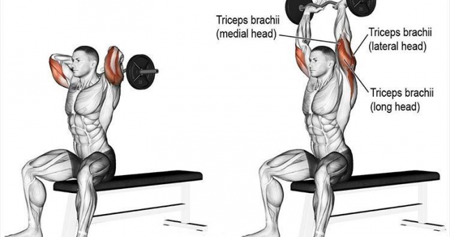 Bài tập Isolation là gì? Các bài tập Isolation tăng cơ nhanh nhất