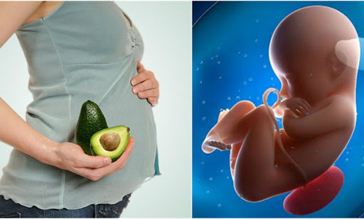 Top 5 tác dụng hàng đầu của bơ cho bà bầu