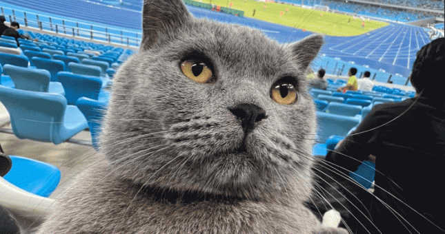 'Quàng thượng' xuất hiện trên sân, U23 Campuchia thắng nhờ 'thần hộ mệnh'?