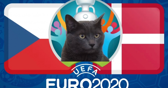 Mèo tiên tri dự đoán CH Séc vs Đan Mạch: 3 điểm cho chiến binh