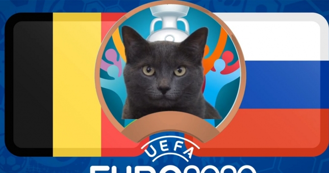 Mèo tiên tri dự đoán Bỉ vs Nga: Chiến thắng cho kẻ mạnh