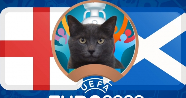 Mèo tiên tri dự đoán kết quả Anh vs Scotland: Khó tạo bất ngờ