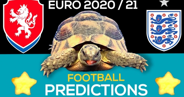 Thần Rùa tiên tri dự đoán kết quả CH Séc vs Anh: Định đoạt ngôi đầu