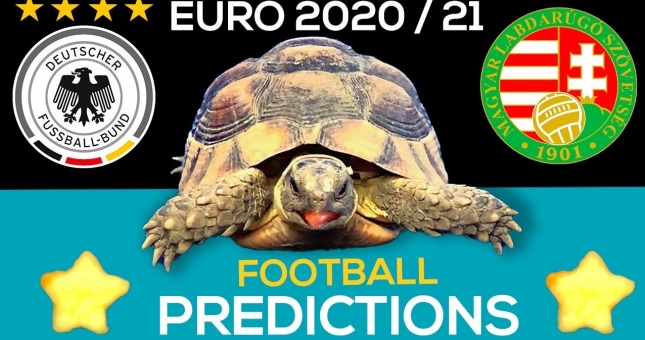 Thần Rùa tiên tri dự đoán kết quả Đức vs Hungary: Lộ diện kẻ bị loại