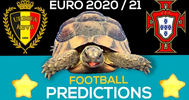 Thần Rùa tiên tri dự đoán kết quả Bỉ vs Bồ Đào Nha: Thay đổi lịch sử