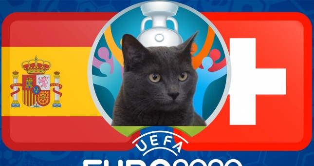 Mèo tiên tri dự đoán Tây Ban Nha vs Thụy Sĩ: Nước đi khác biệt