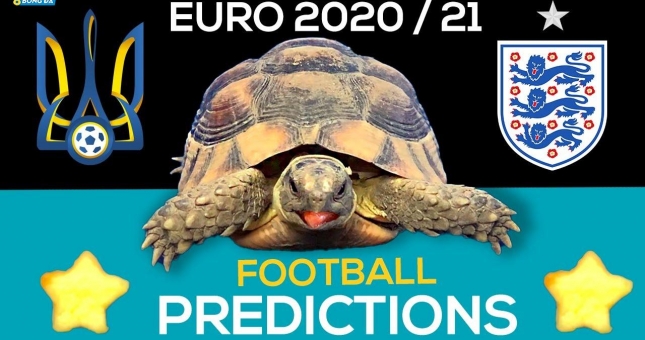 Thần Rùa tiên tri dự đoán kết quả Anh vs Ukraine: Tỉ lệ đúng 100%!