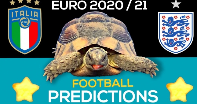 Thần Rùa tiên tri dự đoán kết quả Ý vs Anh: Uy tín!