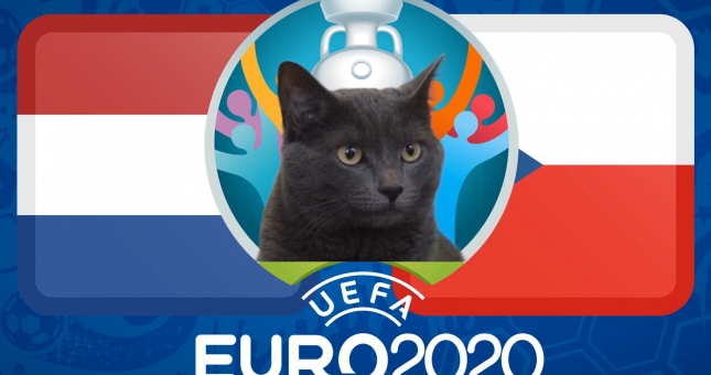 Mèo tiên tri dự đoán kết quả Hà Lan vs CH Séc: Đẳng cấp 'cửa trên'