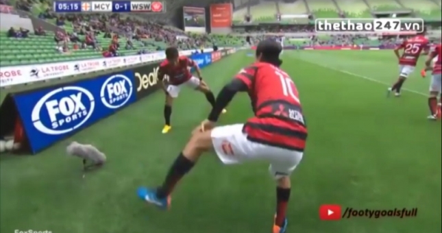 VIDEO: Siêu phẩm và màn ăn mừng hài hước chỉ có ở Nhật Bản