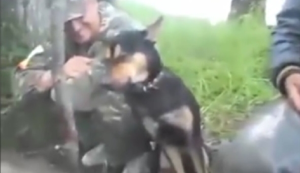 VIDEO: Khi loài c-hó say rượu