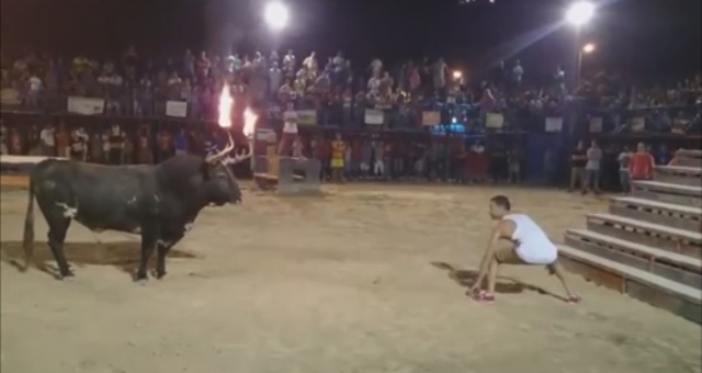VIDEO: Cái kết bi thảm của việc trêu tức bò tót