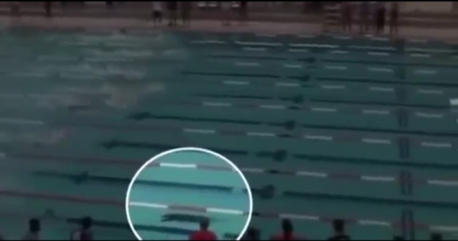 VIDEO: VĐV lặn 1 mạch về đích ở nội dung 50m bơi ngửa