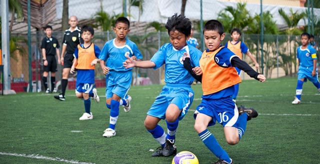 Bóng đá Pháp sắp du nhập vào Việt Nam