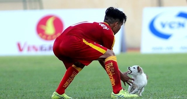 VIDEO: Cầu thủ PVF bị chó cắn ở giải U19 QG