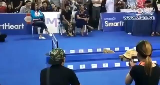 VIDEO: Cuộc chạy đua giữa thỏ và rùa ngoài đời thực
