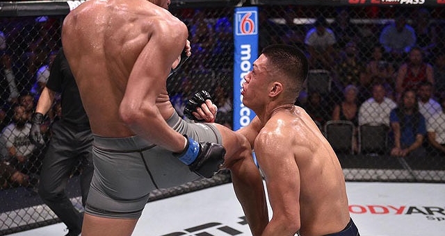 Lĩnh trọn cú lên gối 'tử thần', võ sĩ gốc Việt nằm im bất động