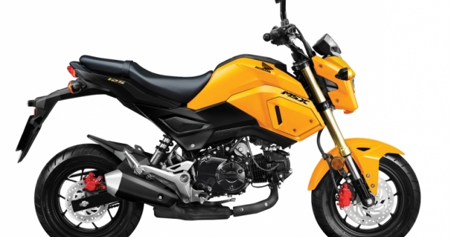 Honda MSX 125 2020 “thay áo” mới, giá 49,99 triệu đồng