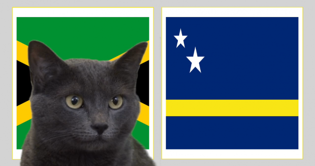 Mèo tiên tri dự đoán kết quả Jamaica vs Curacao: Khó cho ĐKVĐ King's Cup