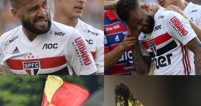 VIDEO: Dani Alves bị đàn ong đốt khi đá phạt góc