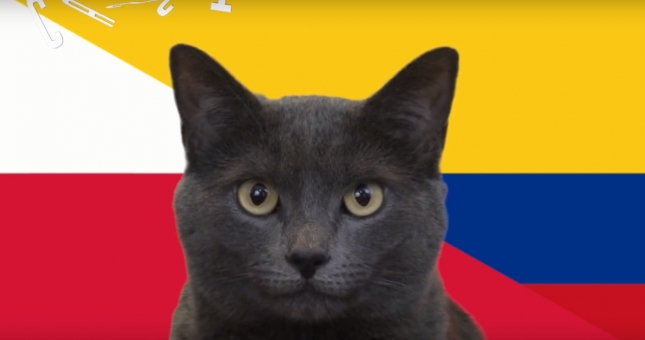 Mèo tiên tri dự đoán kết quả, tỉ số Ba Lan vs Colombia