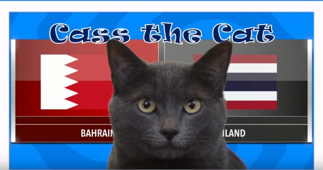 Mèo tiên tri dự đoán kết quả Thái Lan vs Bahrain
