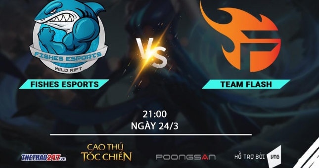 Fish Esports vs Team Flash: Tứ kết là 'cá mập', bán kết thành 'cá con'?