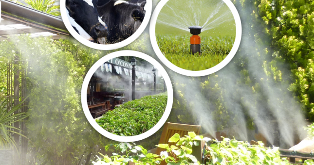 Tham khảo ngay cách xử lý béc phun sương khi bị nghẹt