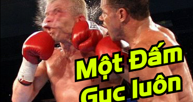 VIDEO: Top 10 pha một đấm gục luôn trong UFC