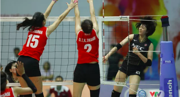 ĐT Việt Nam giành ngôi Á quân tại giải VTV Cup 2019