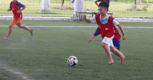 Các lò đào tạo hàng đầu Việt Nam thông báo tuyển sinh