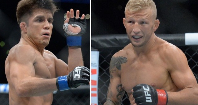 TJ Dillashaw 'được trả cả đống tiền để diệt Flyweight', Henry Cejudo rời UFC nếu bỏ hạng cân này? 