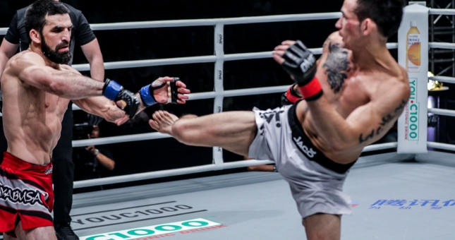 Highlights Thanh Lê tung đòn đá chớp nhoáng hạ gục cao thủ Nhu Thuật