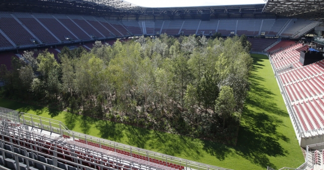 Sân vận động của Áo gây tò mò khi biến thành 1 khu rừng