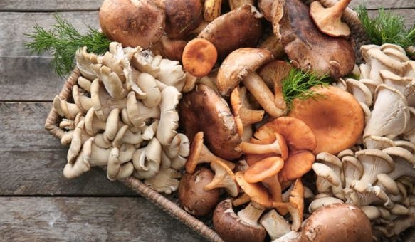 Loại 'rau' này có thể là vũ khí giảm cân bí mật nếu ăn vào bữa sáng