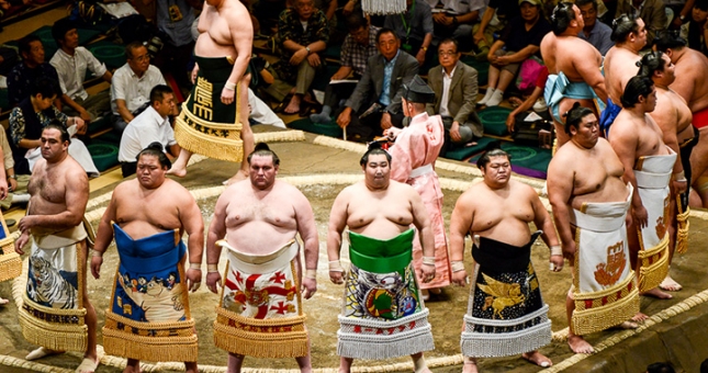 Vì sao các võ sĩ Sumo không thuộc vào nhóm người 'béo phì'?