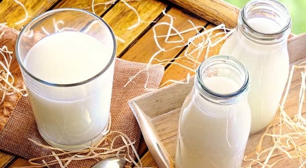 Nên uống sữa vào thời điểm nào là tốt nhất?