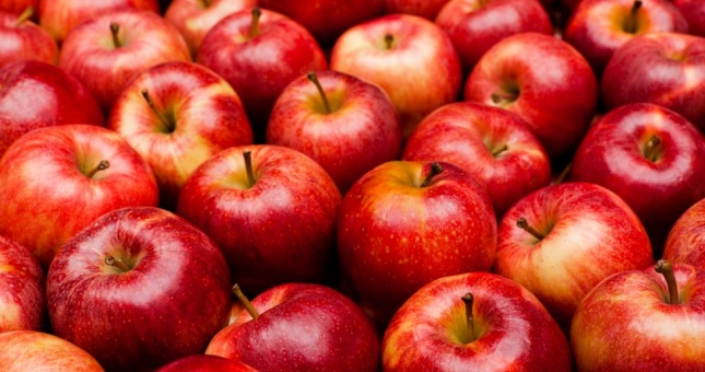 7 'đồ ăn nhẹ' lành mạnh, dễ kiếm mà người chạy bộ nên ăn