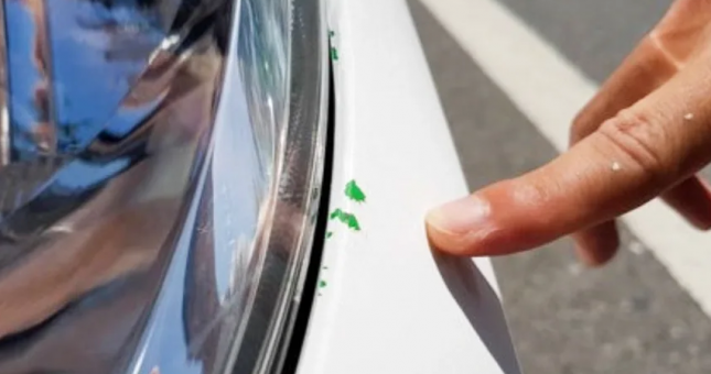 Tìm mua xe Nissan Sunny cũ, cẩn thận mua nhầm 'taxi độ'