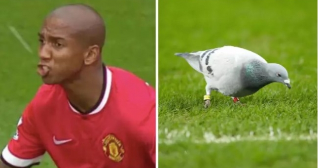 Đội trưởng MU tuyên bố chưa bao giờ ngậm phân chim